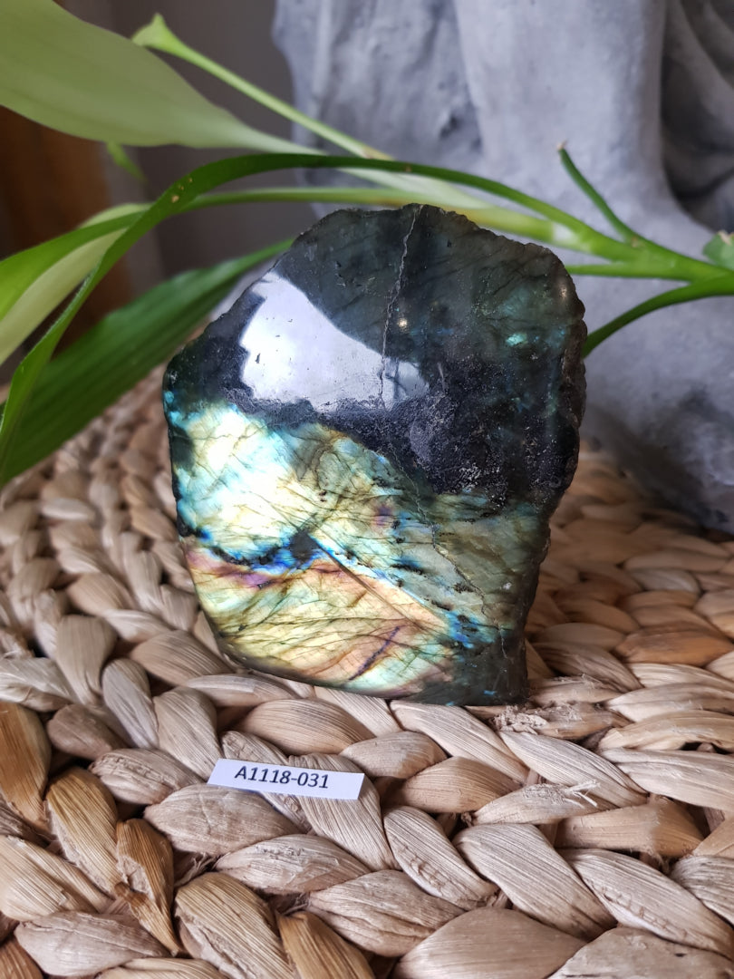 Labradorite une face polie extra