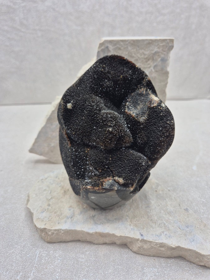 Forme libre en septaria cristalisée- UNIQUE