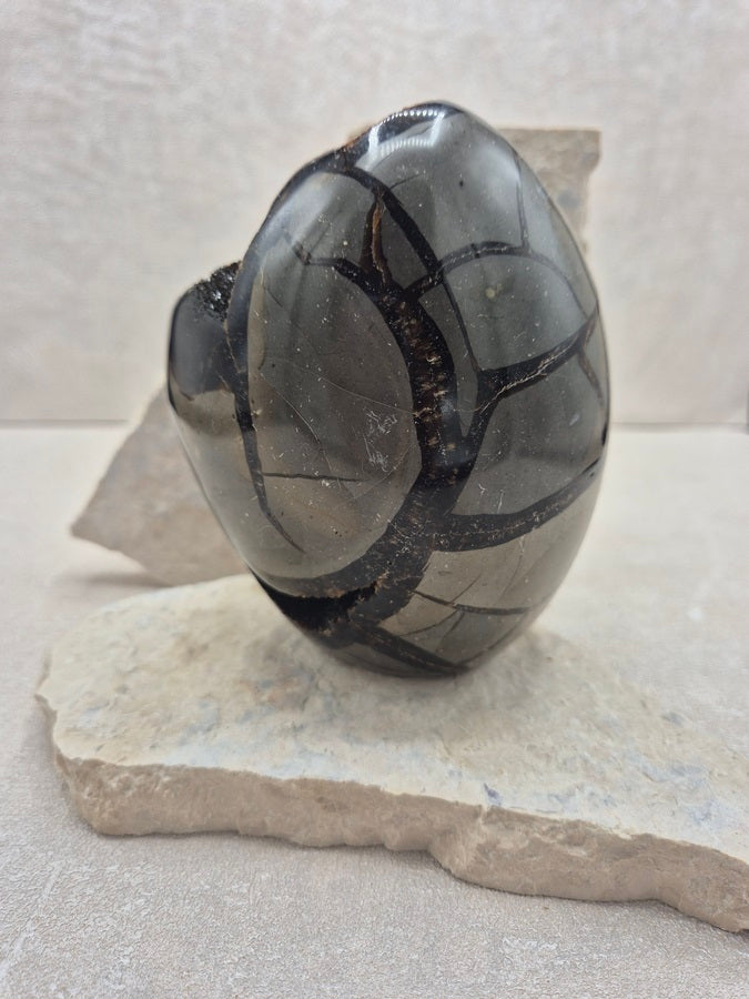 Forme libre en septaria cristalisée- UNIQUE