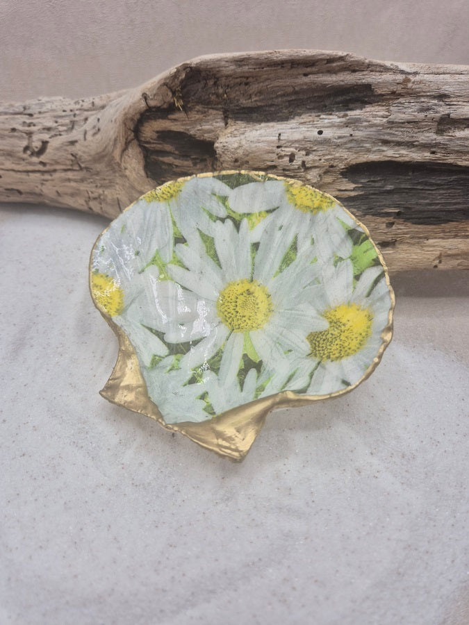 Coquille St Jacques marguerites