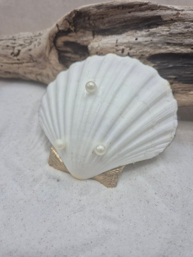 Coquille st Jacques tournesols