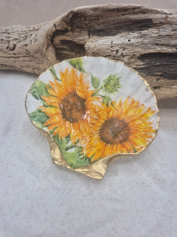 Coquille st Jacques tournesols