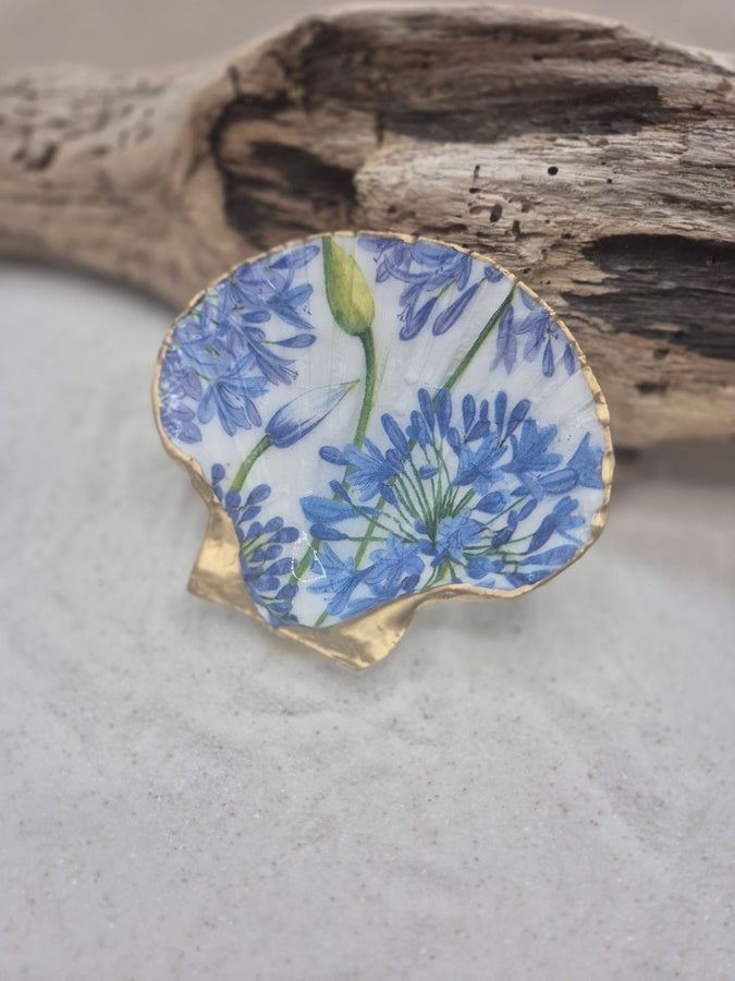 Coquille St Jaques bleuet