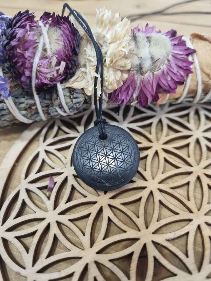 Pendentif shungite